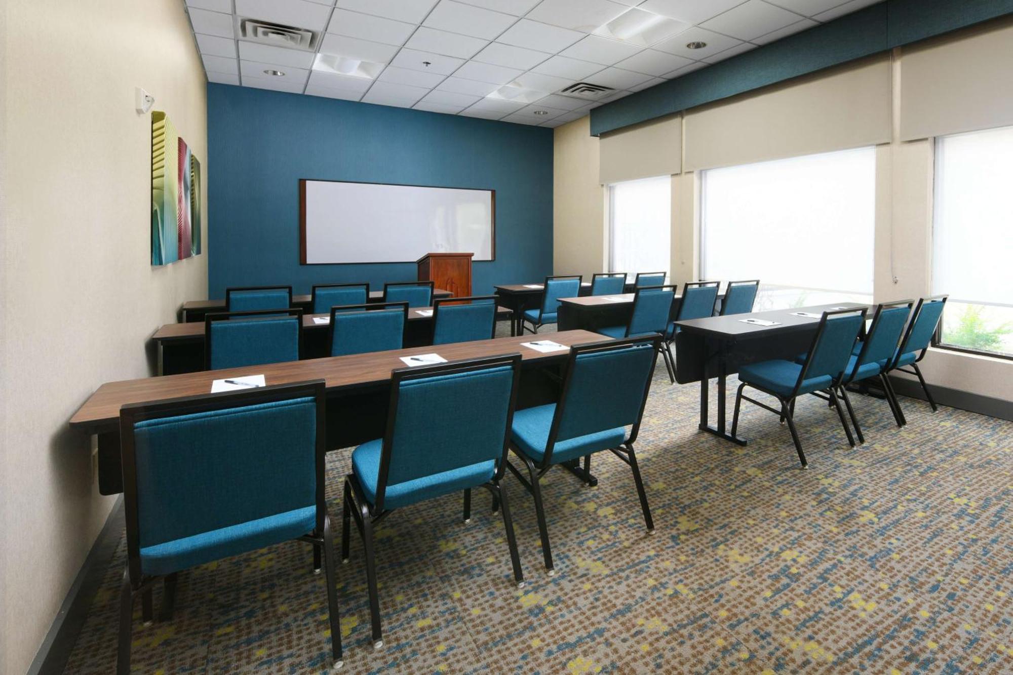 Hampton & Houston-medical Center-nrg Park Hotel