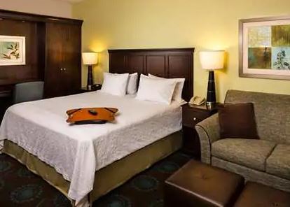 Hotel Hampton & Houston-medical Center-nrg Park 3*